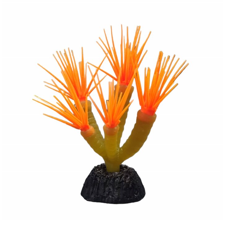 nep plantjes aquarium