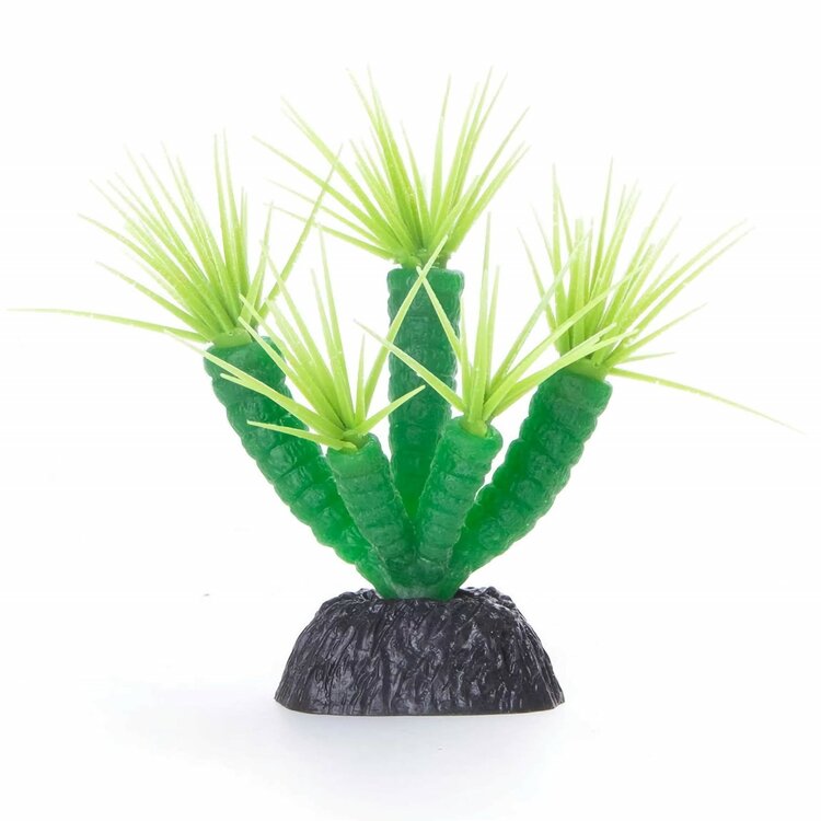 groen koraal kunststof
