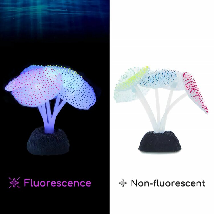 Aquariumdecoratie fluoriserend
