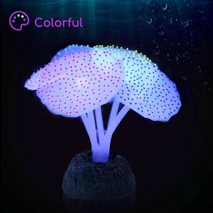 fluor aquariumplant