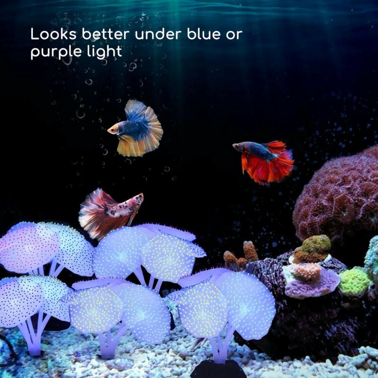 oplichtende aquariumplanten