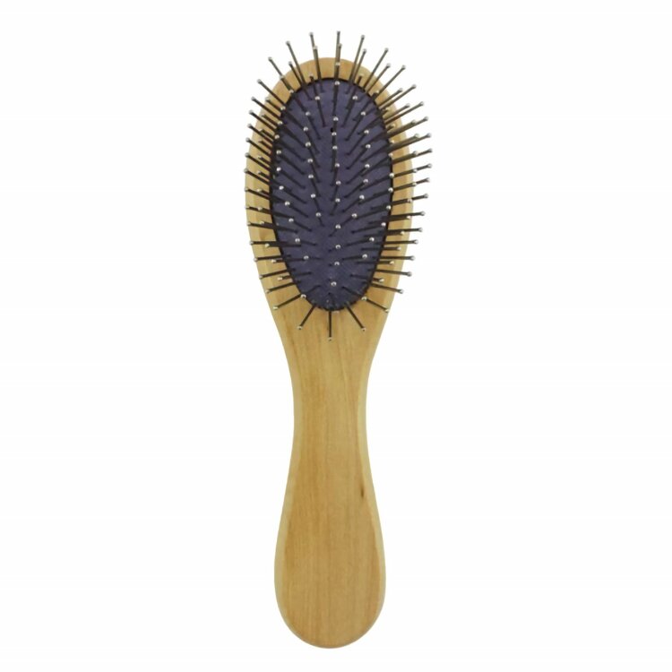 Deze pennenborstel van hout