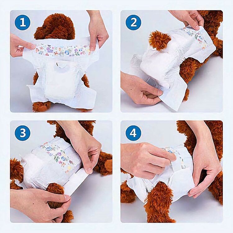 Voor honden die niet zindelijk, loops of incontinent zijn