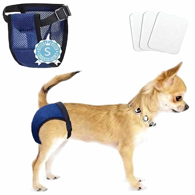 Loopsheidsbroekje kleine hond - Maat S