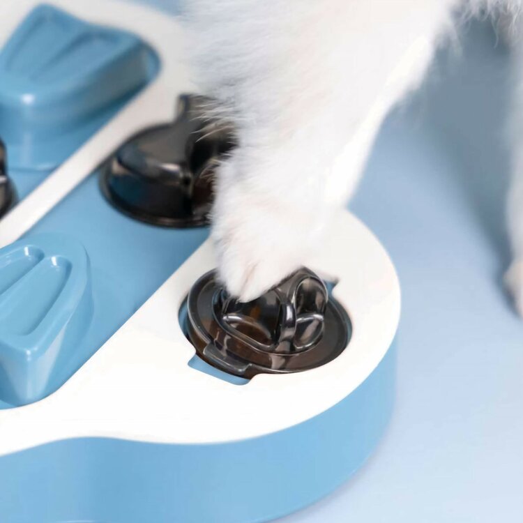Hond intelligentie speelgoed