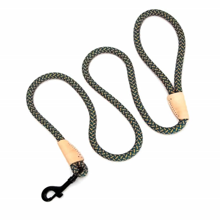 Ronde hondenriem met leer - Beige, blauw