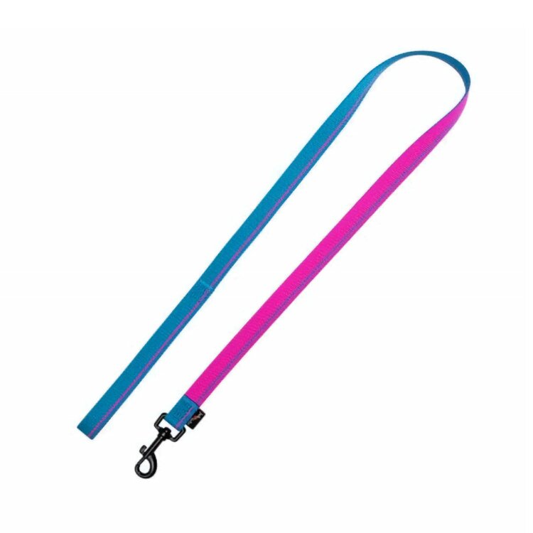 Mooie Nylon hondenriem kopen