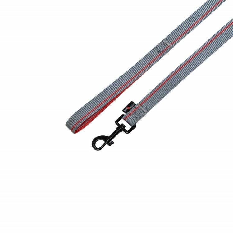 Hondenriem Nylon grijs