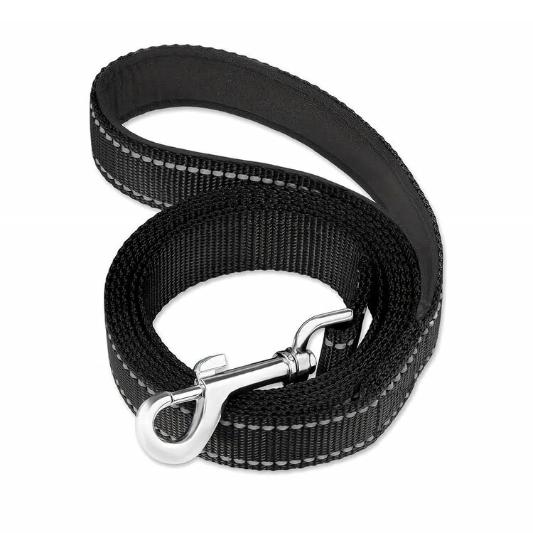 Nobleza Hondenriem - Nylon - Reflecterend - Gevoerd handvat - 120 cm x 2,5 cm