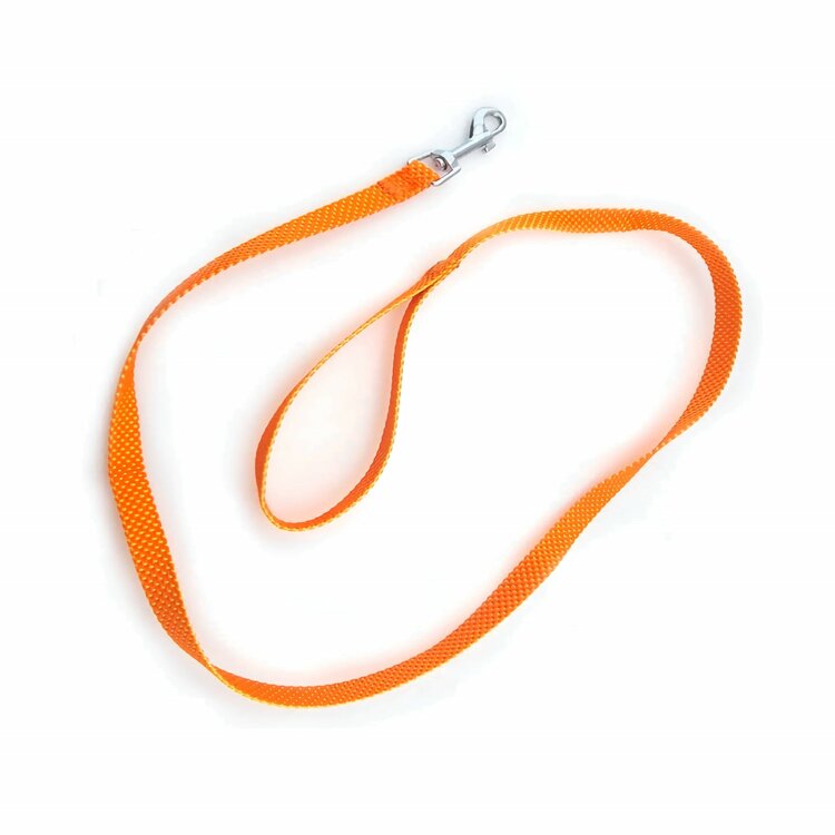 Leuke riem voor kleine hond