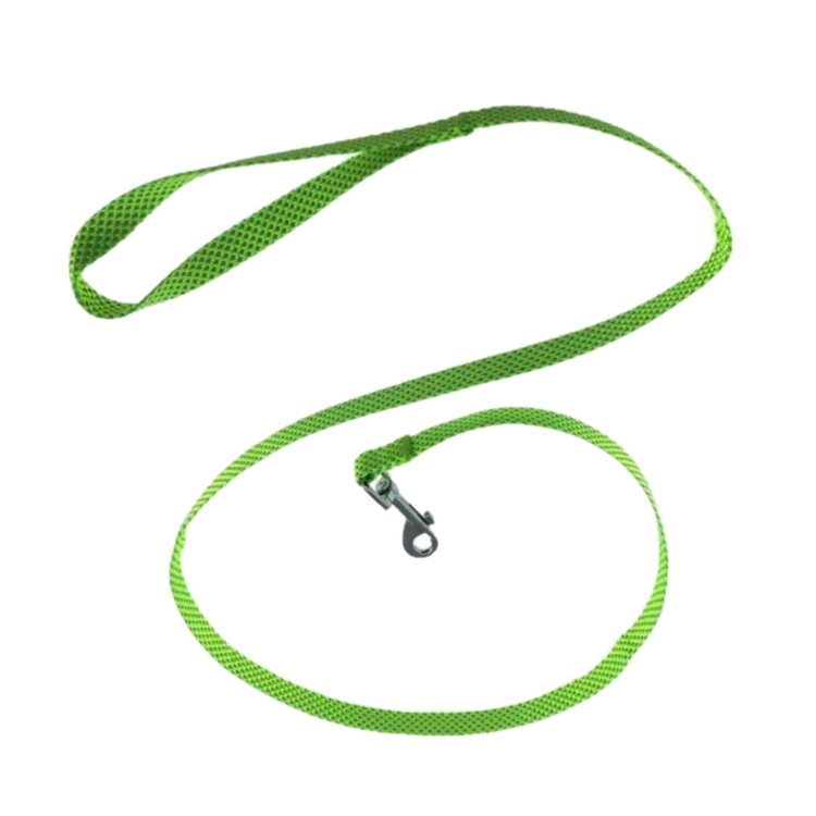 Groene hondenriem voor puppy