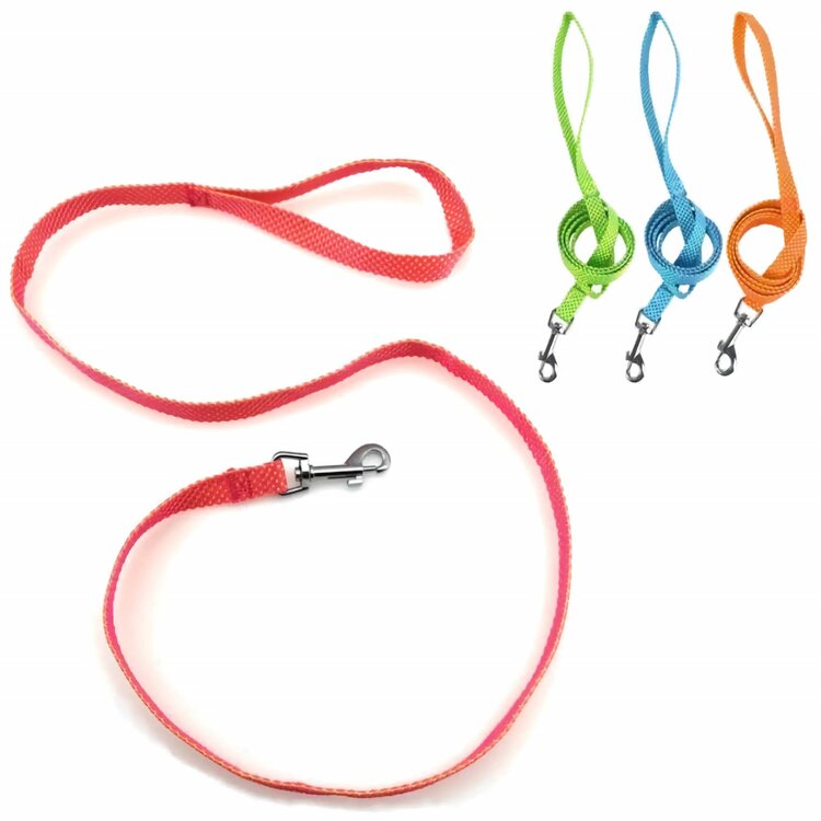 Leuke hondenriem voor puppy