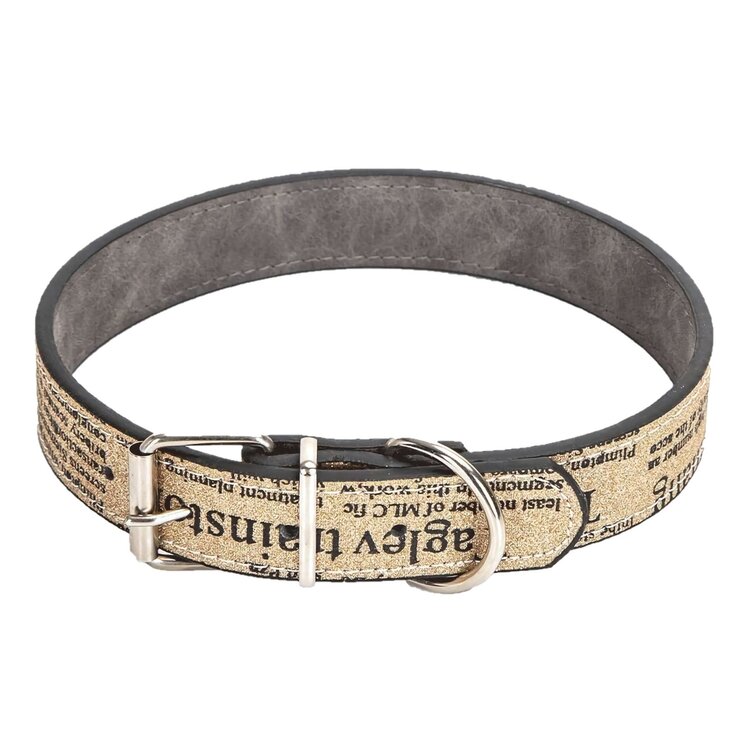 Leuke halsband hond