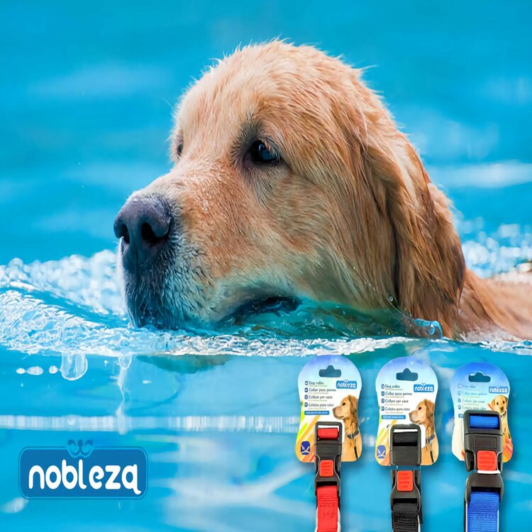 halsband voor honden