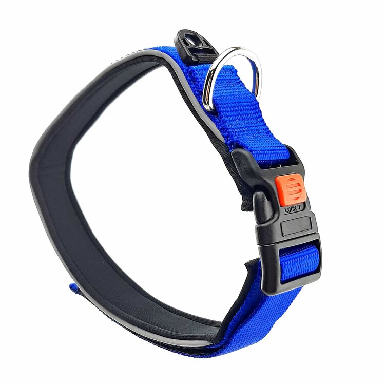hondenhalsband zwemmen