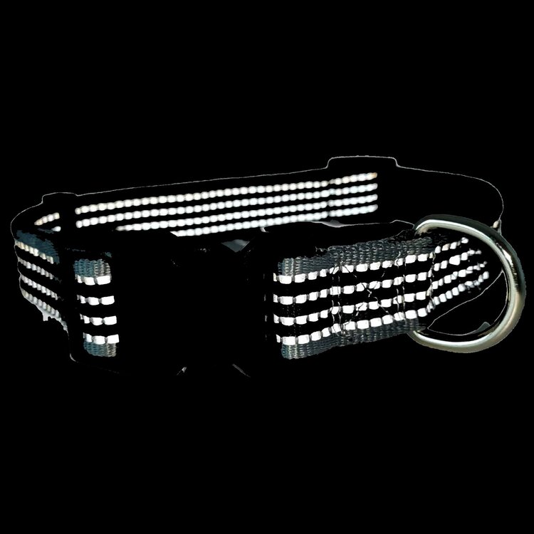Klikhalsband Nylon Reflecterend 