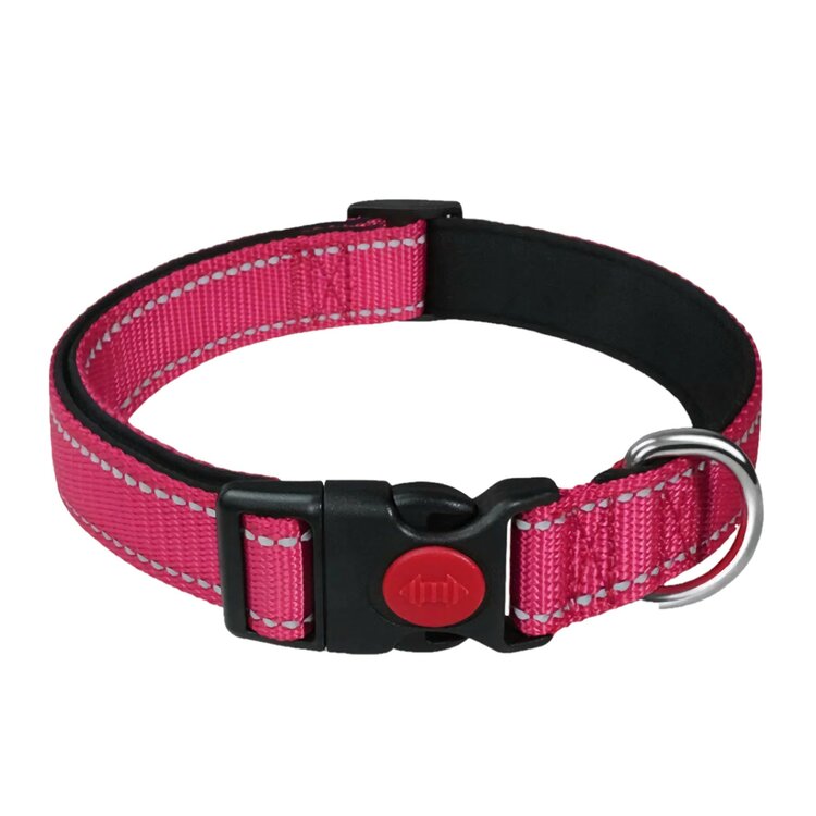 halsband hond roze