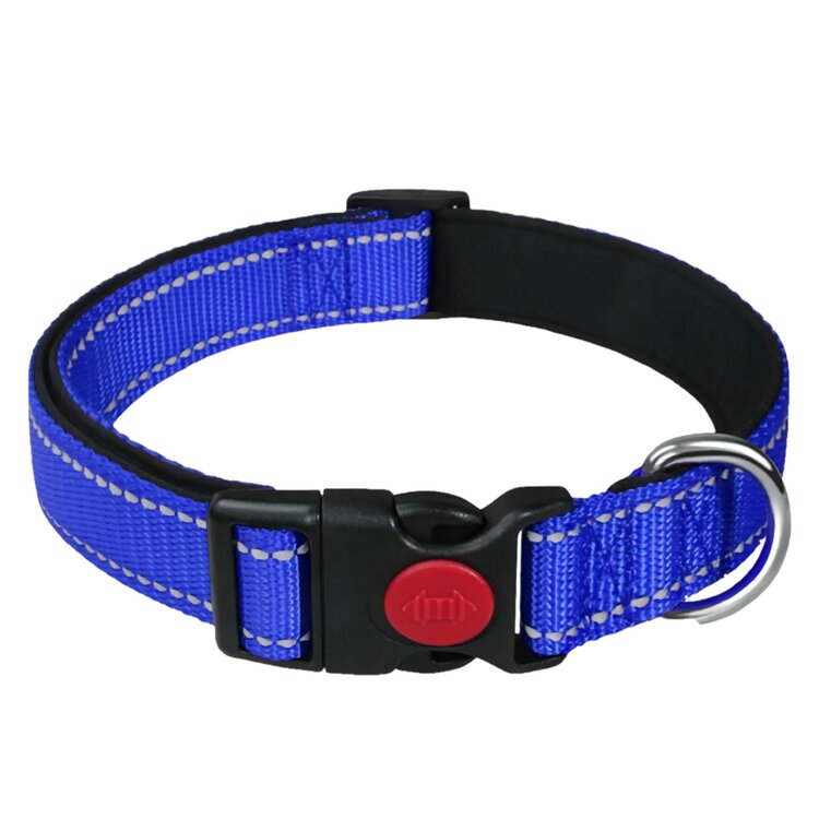 Hondenhalsband blauw