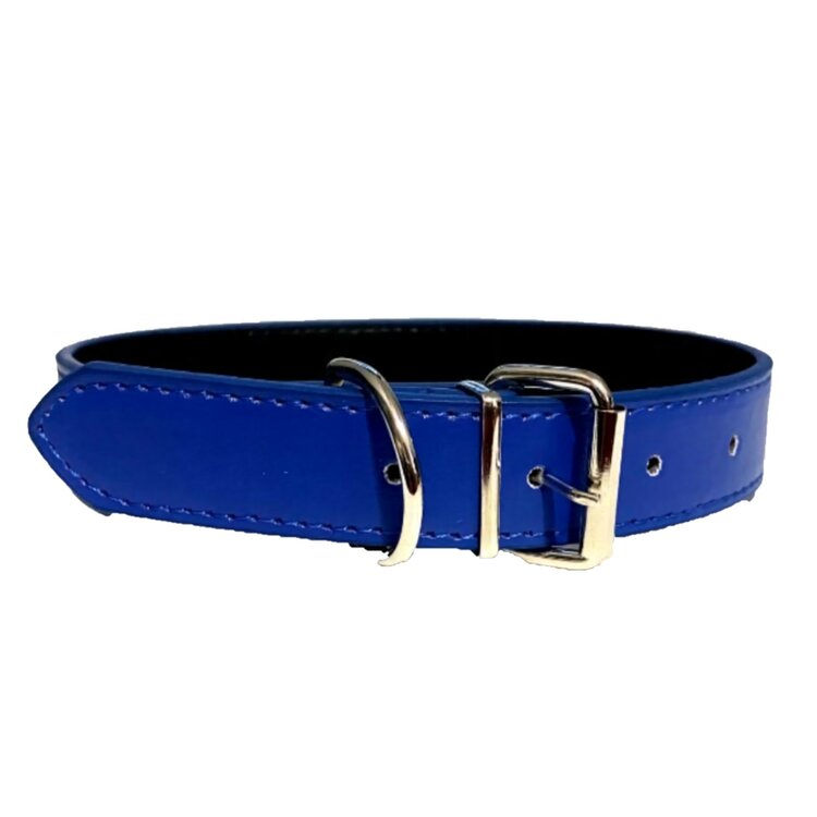 Blauwe halsband voor hond