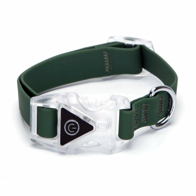 hondenhalsband met veiligheidsverlichting