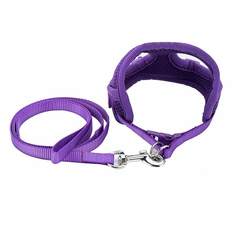 Nobleza Honden Y-tuigje met riem - Gevoerd - Maat M