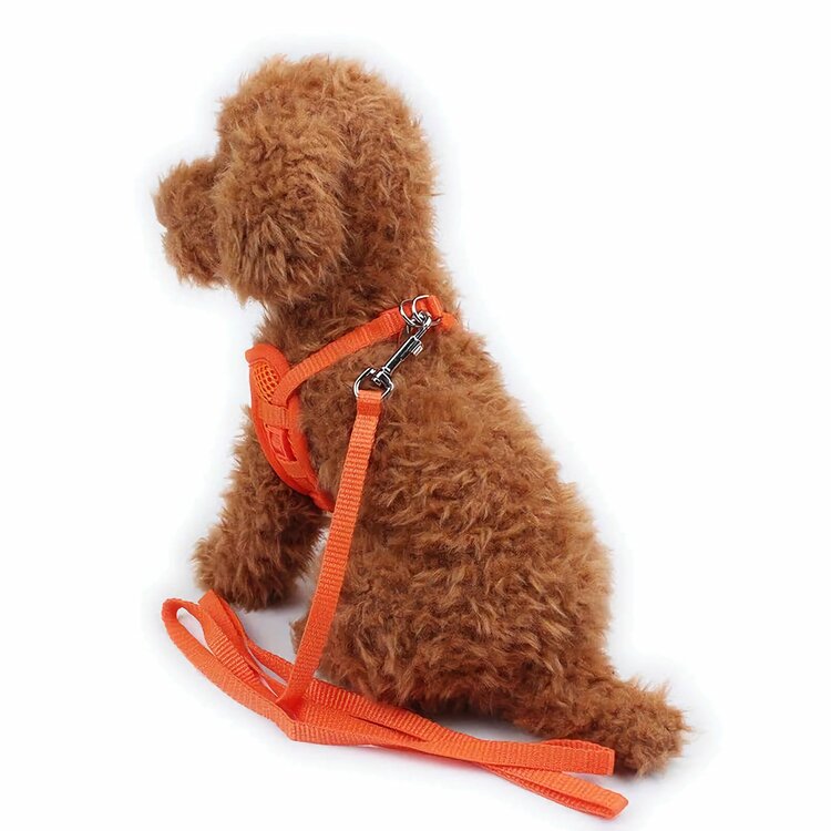 Nobleza Honden Y-tuigje met riem - Gevoerd - Maat M