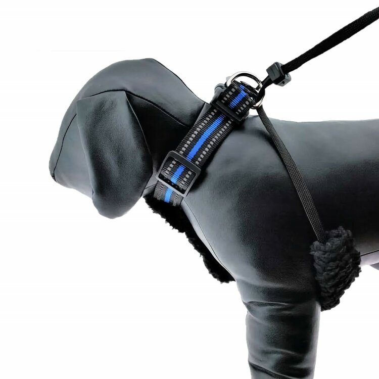 Dit tuigje is voor trekkende honden