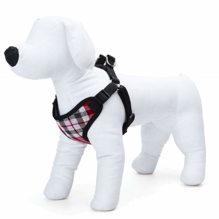 Y tuigje voor kleine hond