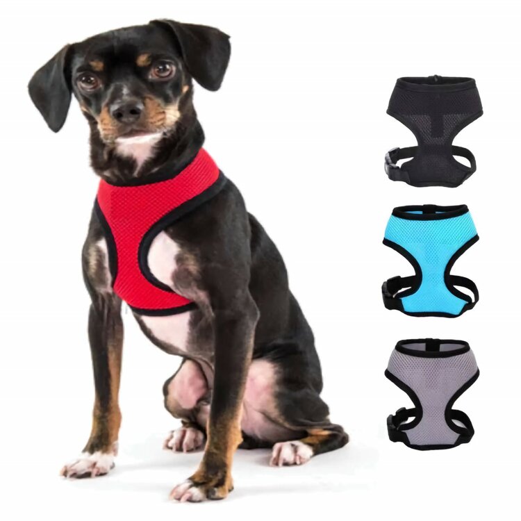 Nobleza Honden Y-tuig - Gevoerd - Maat L