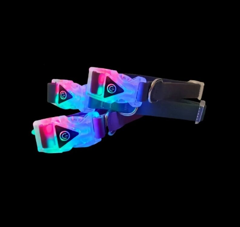 Hondenhalsband met licht in gesp 50 cm
