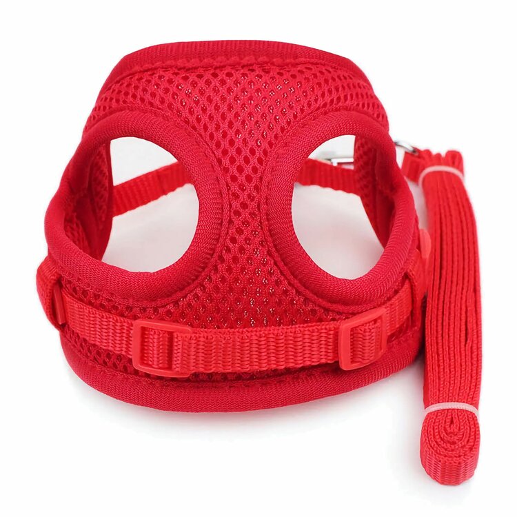 Teckel tuigje met riem rood