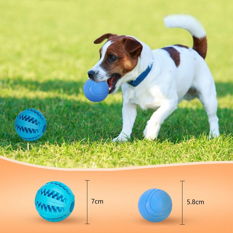 Nobleza Honden speelgoedset - 5 speeltjes