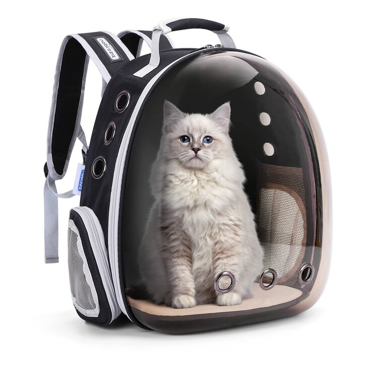 Kattenrugzak kopen