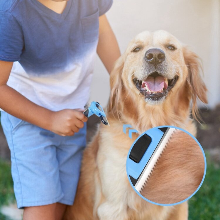 kammen ondervacht golden retriever