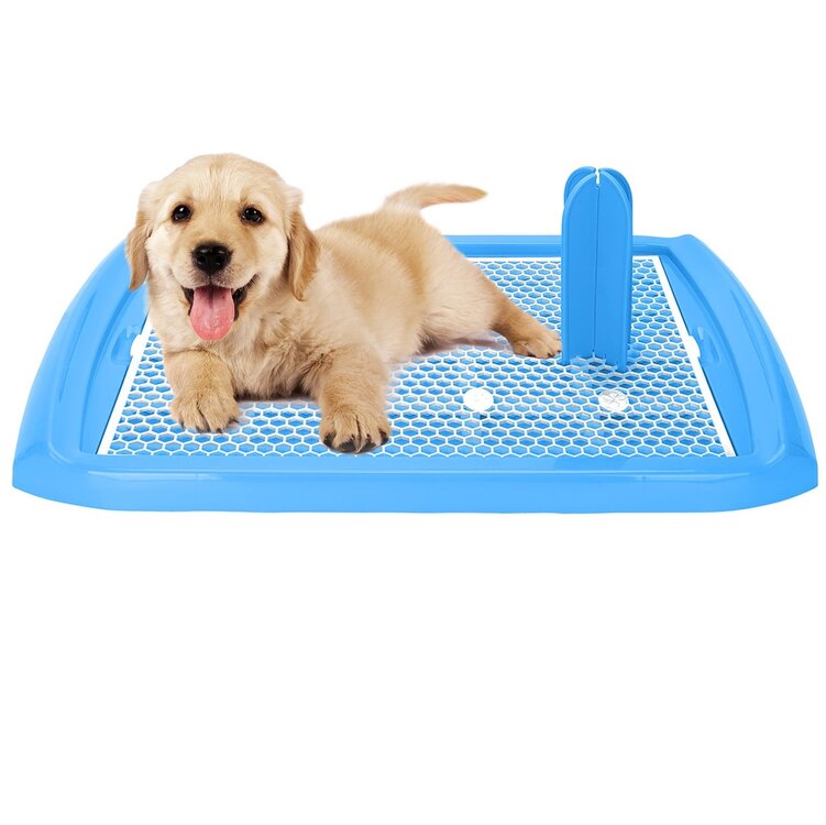 Training honden toilet