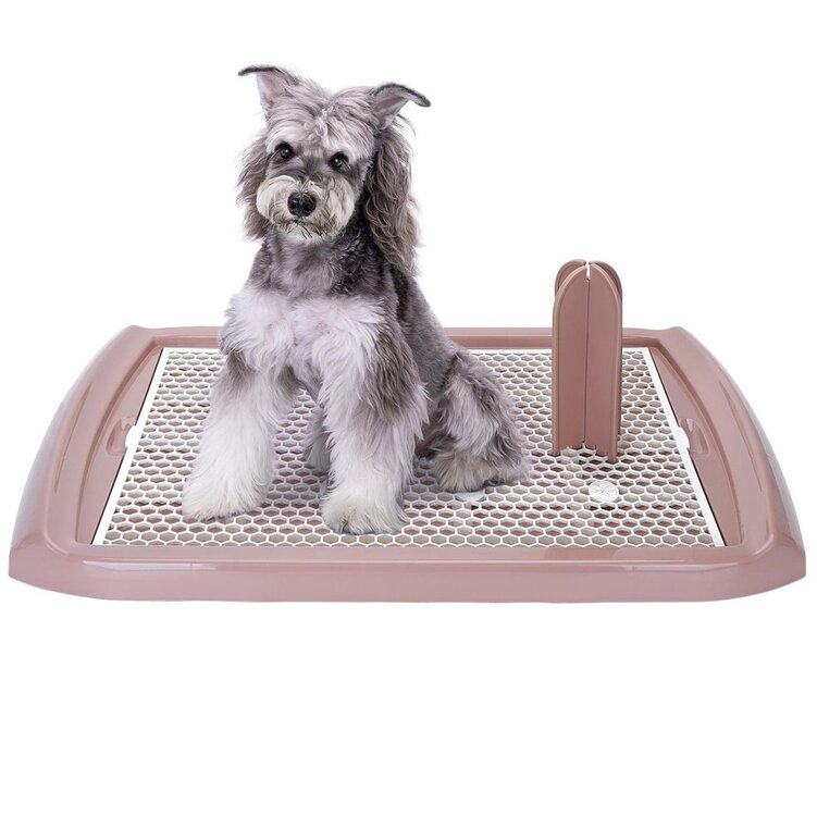 Hondentoilet binnen 70x46 cm