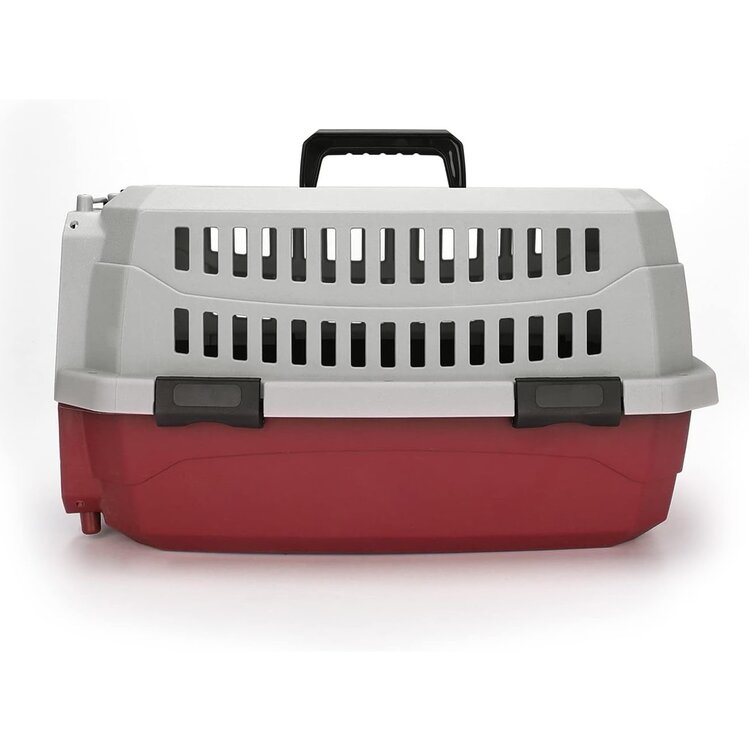 Transportbox kat xl