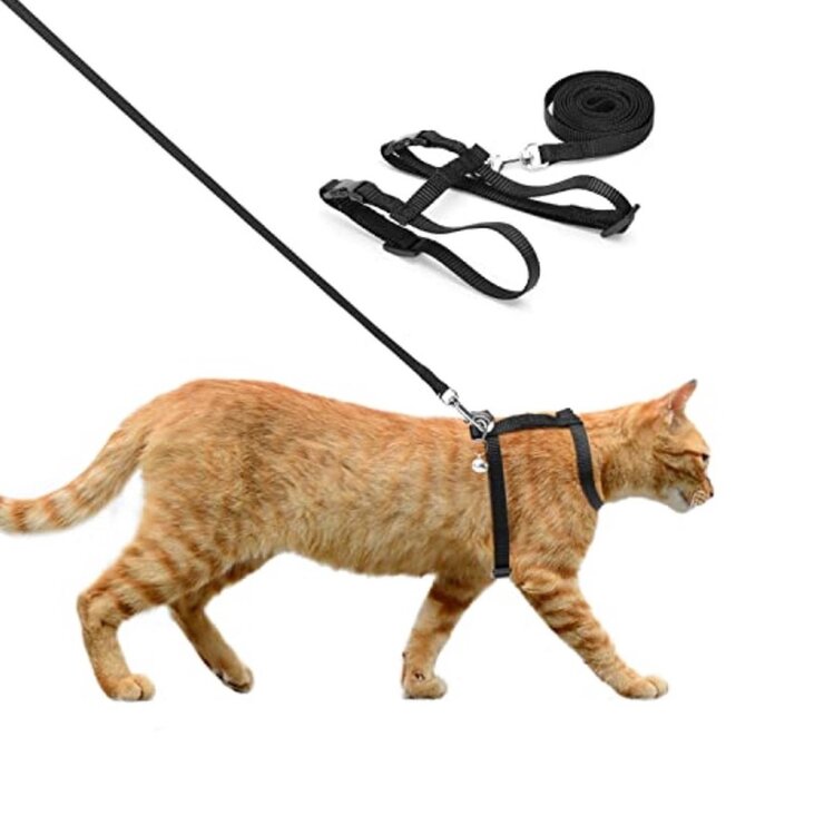 Nobleza Kattentuigje met riem - Nylon - Zwart
