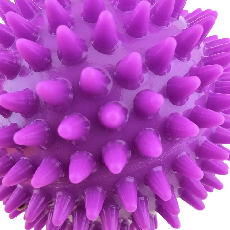 Hondenbal massage en piep