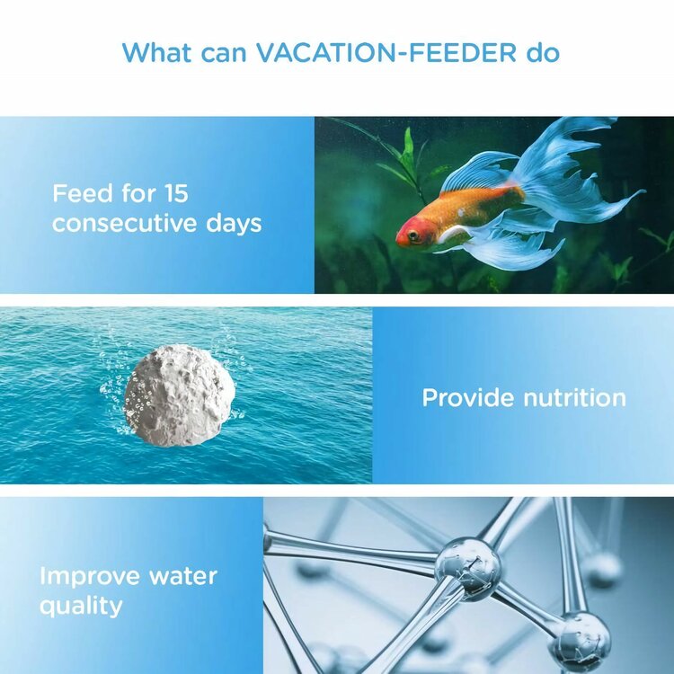 Nobleza Voederblok voor aquariumvissen - Vakantie - 20 gr