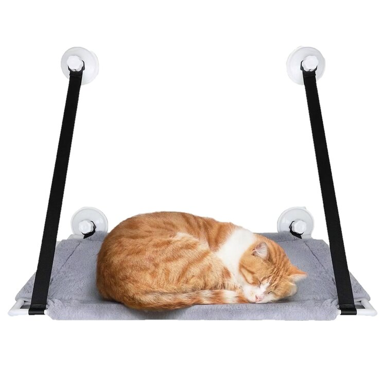 Katten raam hangmat