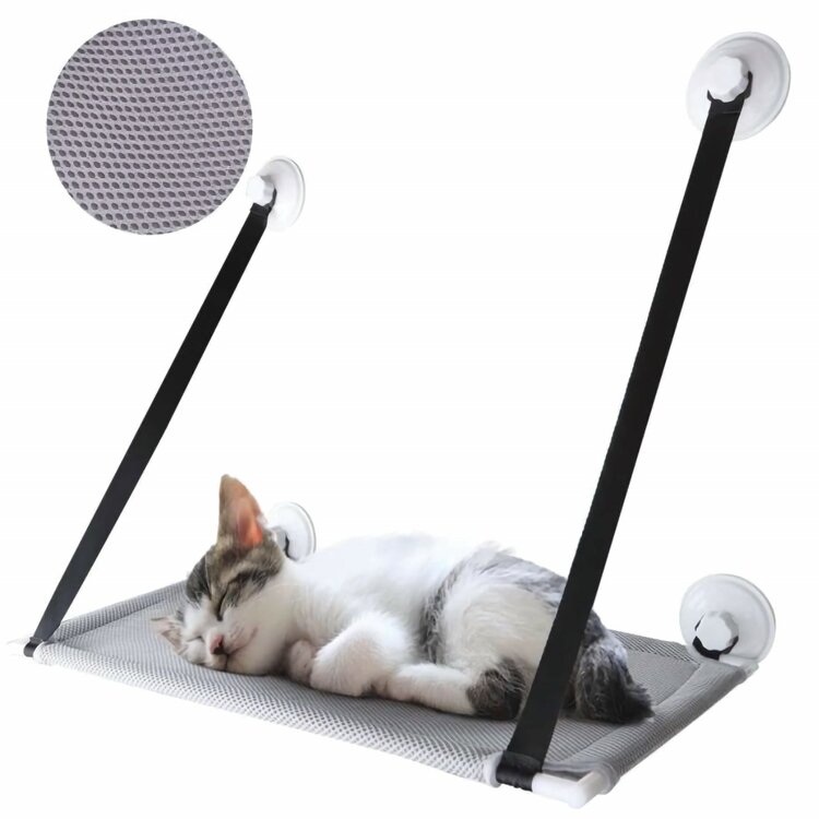 Kattenmand voor raam