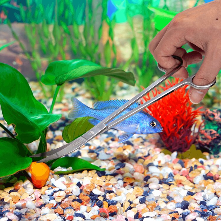 Aquarium schoonmaakset - RVS