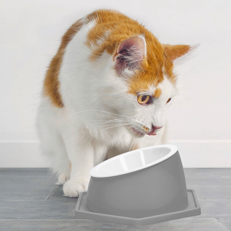 Kattenvoerbak verhoogd - Grijs