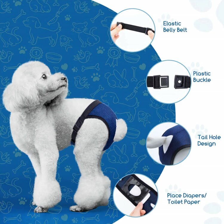 Hond loops