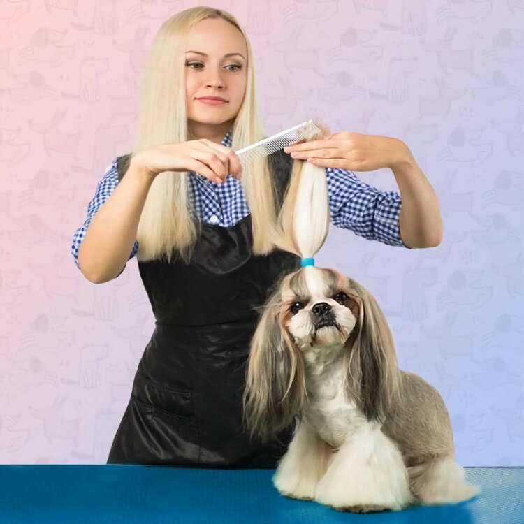 Kam voor de vacht van honden en katten.