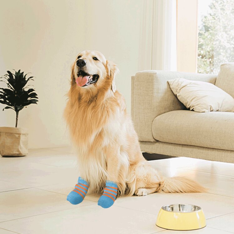 Sokjes voor golden retriever