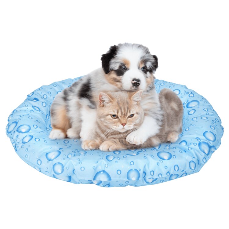 Nobleza Verkoelende mand voor hond en kat - 43 cm