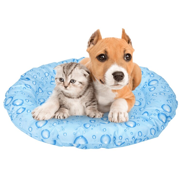 Nobleza Verkoelende mand voor hond en kat - 52 cm