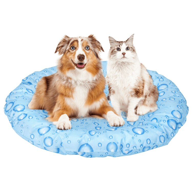 Nobleza Verkoelende mand voor hond en kat - 62 cm